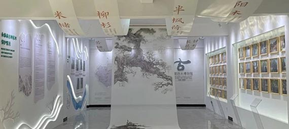 “软”装饰在文化空间中的应用