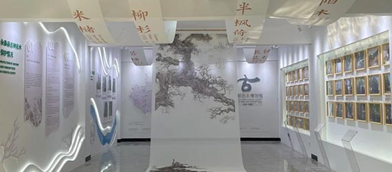 文化墙软装饰空间设计
